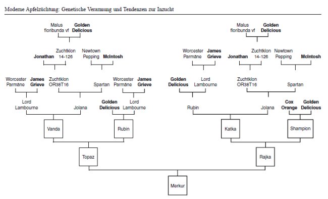 apple inbreeding and disease susceptibility