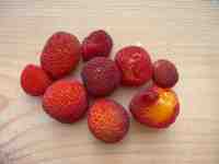 arbutus fruit