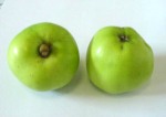 burr knot apple; roots from branches