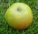 Deer Park Apple