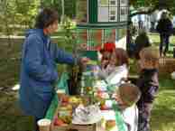 Donisthorpe apple day in the community orchard