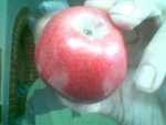 red fleshed apple found near maidenhead