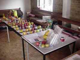 apple day, friends' meeting house, queens rd, leicester, 2011