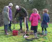 Leicestershire Heritage Apples at Ravenstone