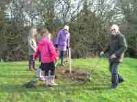 Leicestershire Heritage Apples at Ravenstone