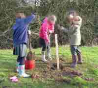 Leicestershire Heritage Apples at Ravenstone