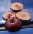 unknown red apple