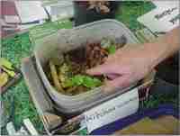 Leicestershire Heritage Apples at Sapcote Applefest