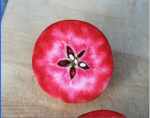 Aldenham purple, red-fleshed apple, photo & information from stefan dubbelman, sweden.