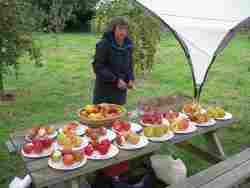 apple day 2018, Woodhouse Eaves
