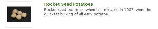 rocket seed potatoes