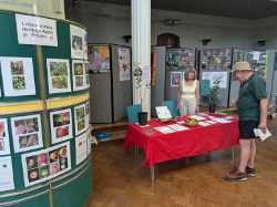 Botanical Garden family day 2025