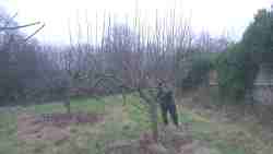 cotesbach pruning day, 2025