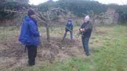 cotesbach pruning day, 2025