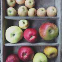 Apple tasting, Cotesbach Hall, 2024