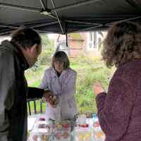 Apple tasting, Cotesbach Hall, 2024