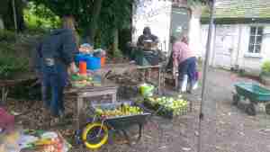 Apple tasting, Cotesbach Hall, 2024