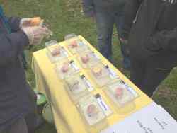 donisthorpe apple day