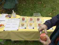 donisthorpe apple day