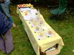 donisthorpe apple day