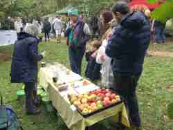 donisthorpe apple day