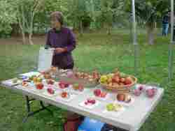 apple day 2018, Donisthorpe