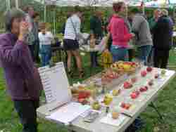 apple day 2018, Donisthorpe