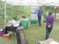 apple and composting displays and apple tasting, donisthorpe, LHAP