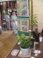 leicestershire heritage apples project at the botanical garden, Jun 2013