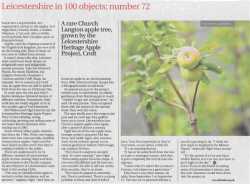 leicester mercury report on leicestershire heritage apples, scan of the page